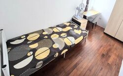 Rosyth Road (D19), Semi-Detached #517080751